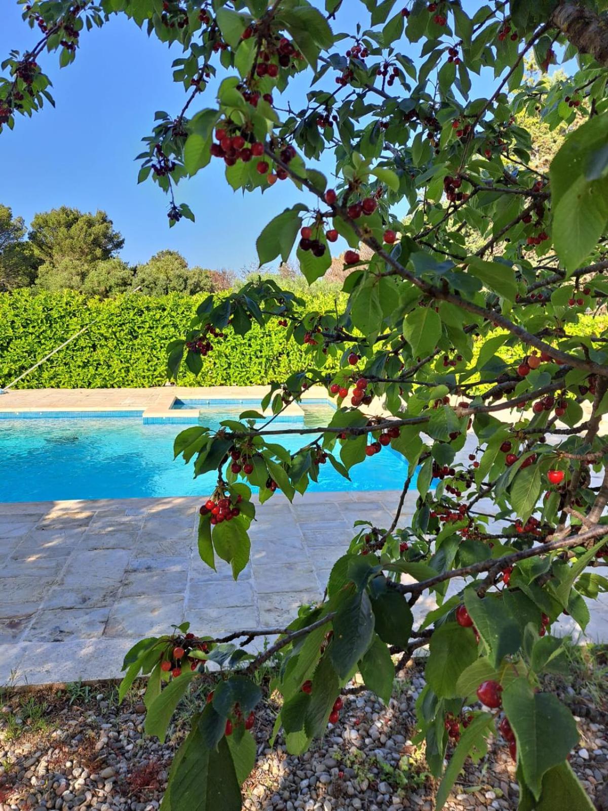 Trulli Gianfelice Villa Martina Franca Ngoại thất bức ảnh